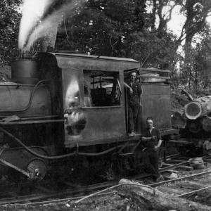 Te Awamutu's Climax 1317 steam locomotive pictured at work at Te Rena in 1933